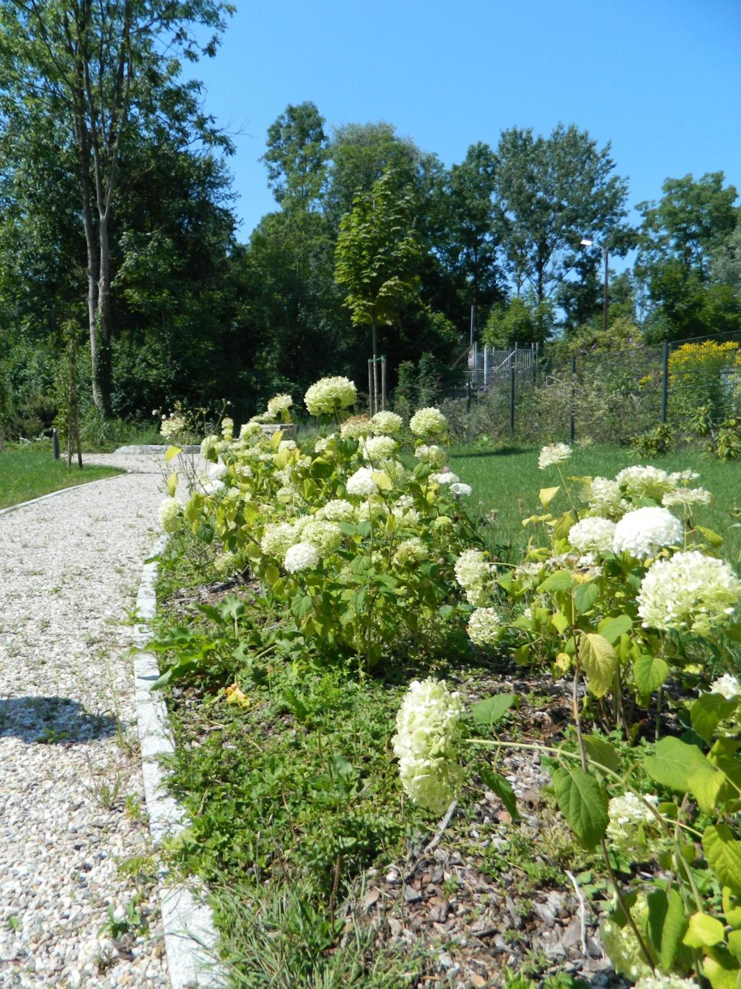 Apartament Ebelsberger Terrassen *