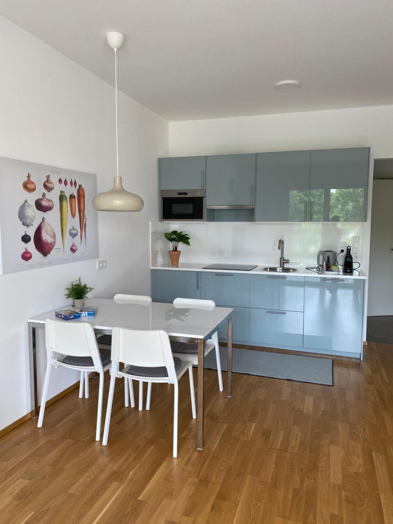 Ebelsberger Terrassen Linz